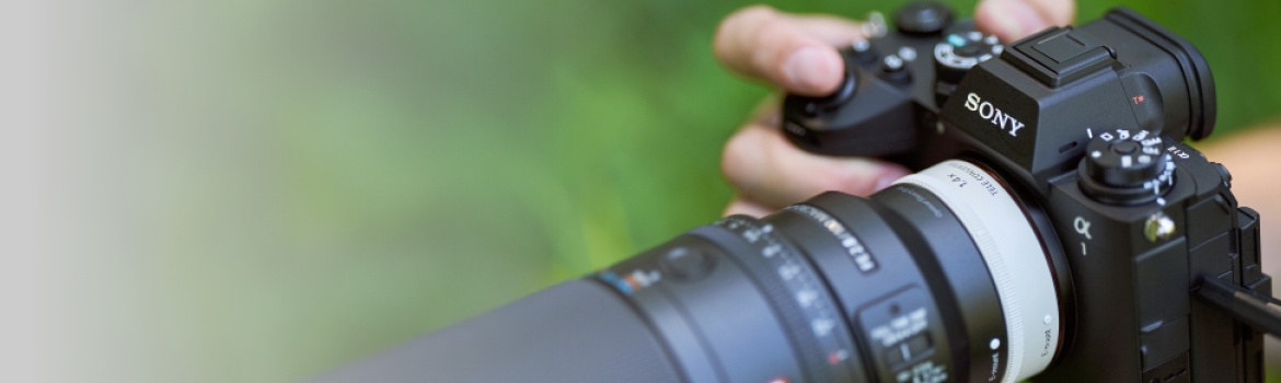 Sony Alpha Cameras