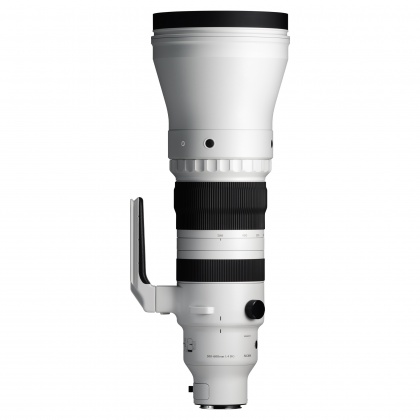 Sigma 300-600mm F4 DG OS | Sports lens for Sony E