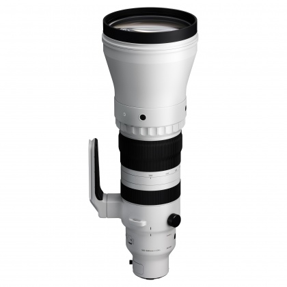 Sigma 300-600mm F4 DG OS | Sports lens for L Mount