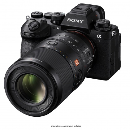 Sony FE 100mm F2.8 Macro GM OSS lens