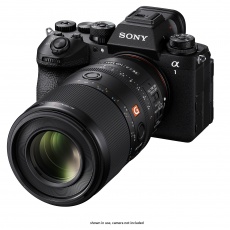 Sony FE 100mm F2.8 Macro GM OSS lens