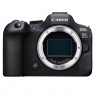 Canon EOS R6 Mark II Mirrorless Camera Body