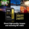 Lexar 256GB SDXC Gold UHS-II R300/W260MB/s V90