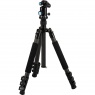 Sirui ET-2204 Carbon Fibre Tripod with E-20 Ball Head