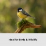 Sony Sony Alpha 6700 Wildlife Kit