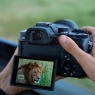 Sony Pre-order Deposit for Sony RX10 V | 24–600mm High-Zoom Camera